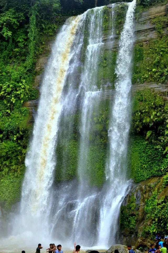 Madhabkunda Waterfall in Sylhet, showing the tall vertical drop of water against a backdrop of dense forest and ferns.
