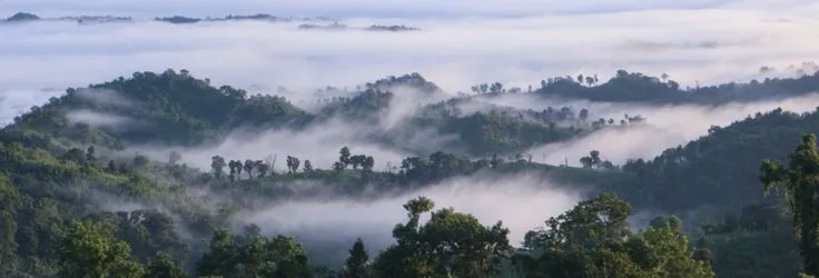 Scenic landscape of Sajek Valley at sunrise, showing white clouds floating over the green mountain peaks of the Chittagong Hill Tracts.