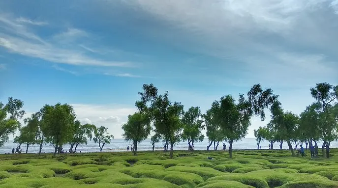 Guliakhali Beach